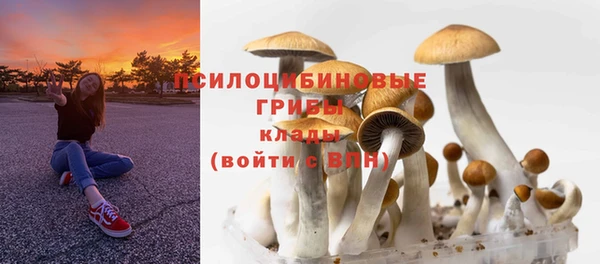мет Богородицк